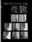 Car on street; School buses; Misc. office pictures (11 Negatives) September 11-12, 1959 [Sleeve 35, Folder e, Box 18]